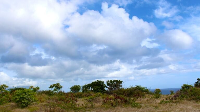 IMG_6864-1110x623